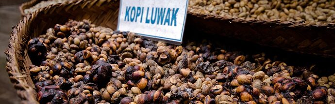 most-expensive-coffee-1130x353