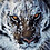aboode_22