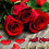 Yasser_55